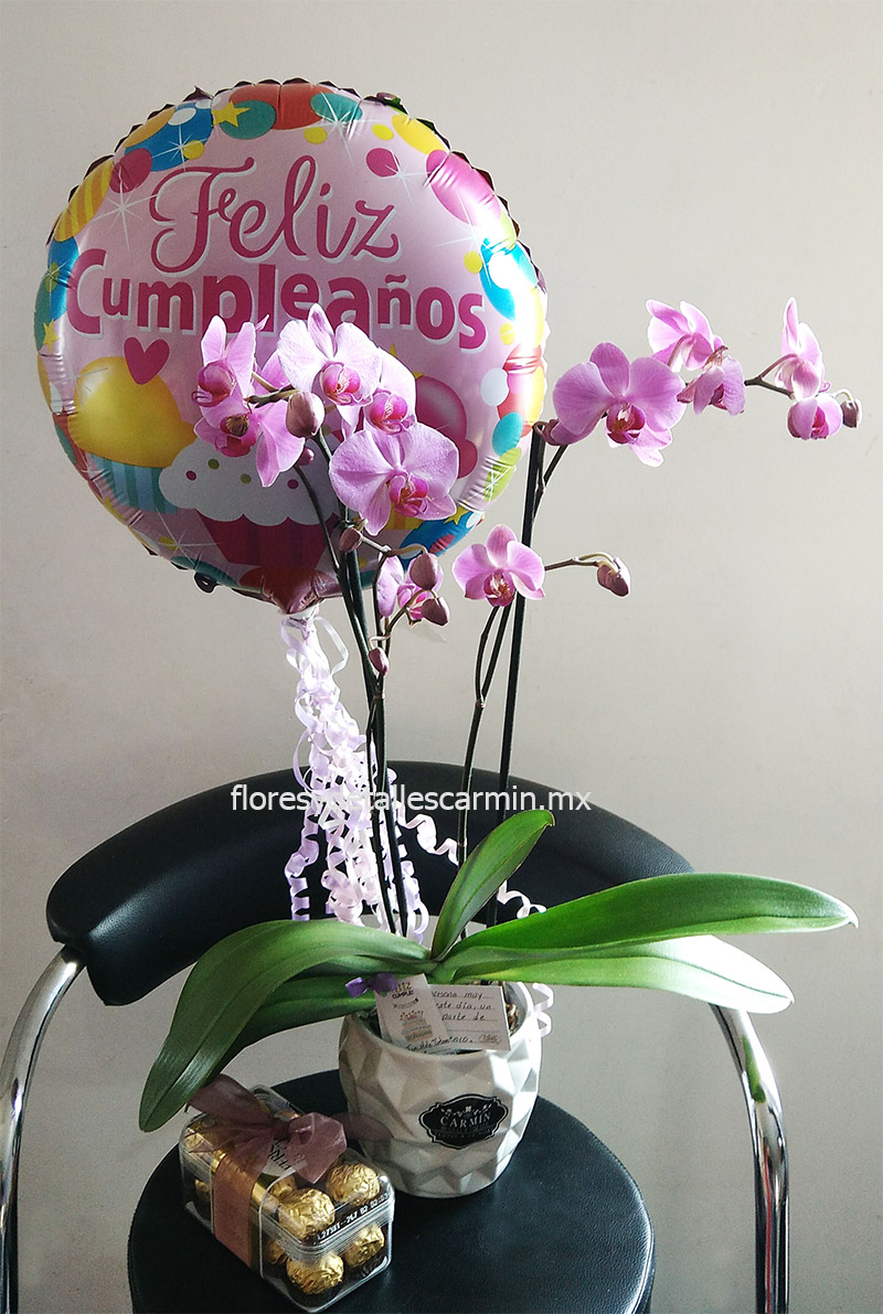 Arreglos de Cumpleaños Boutique Carmin