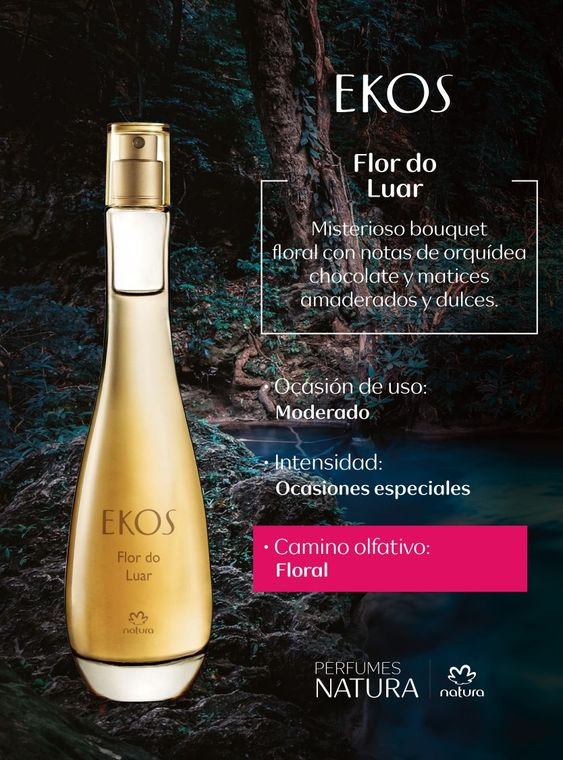 Perfumes y Colonias Florería Boutique Carmin
