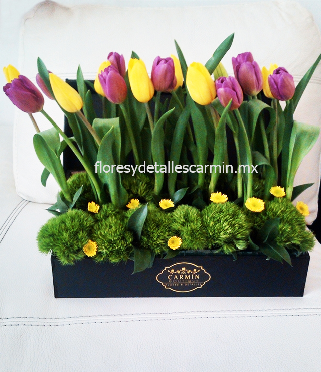 Tulipanes Boutique Carmin